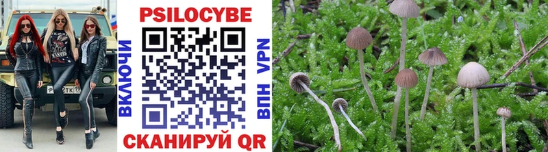 Псилоцибиновые грибы Psilocybine cubensis  Приволжск 